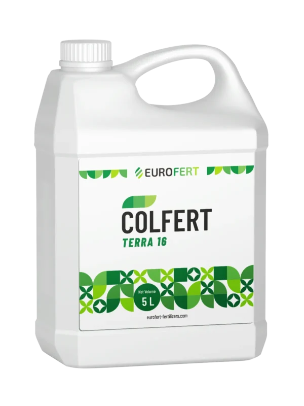 Colfert Terra 16